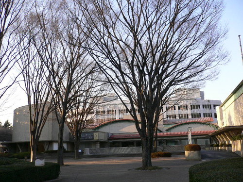 setagaya art museum1.JPG